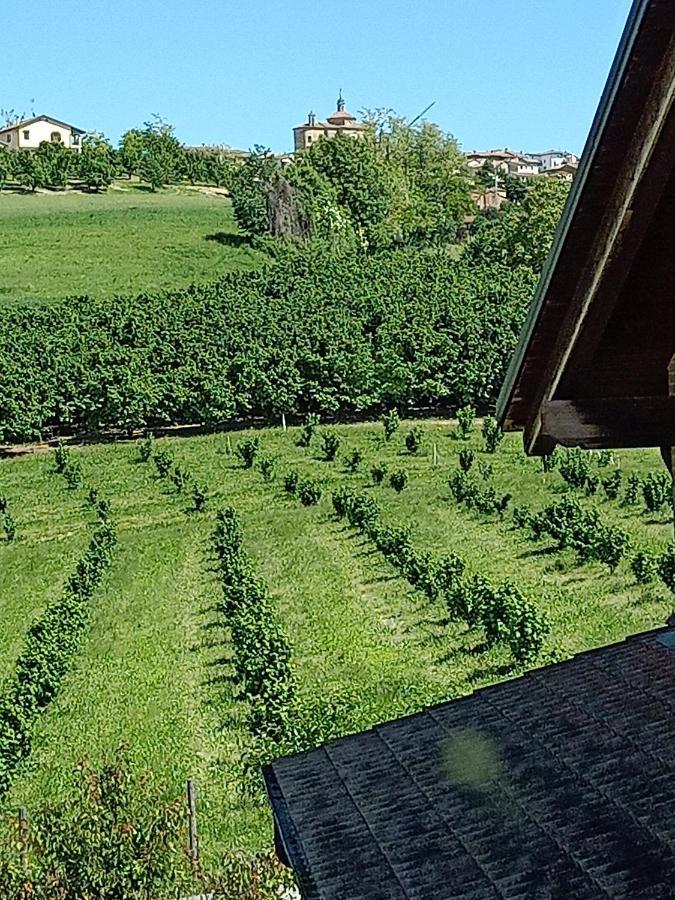 Appartamento Vite diPinte 1 bilocale in langa Novello Esterno foto